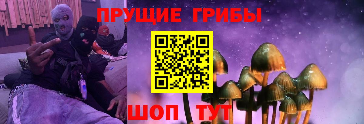 Ярославль  Галлюциногенные грибы MAGIC MUSHROOMS  Вход с VPN 